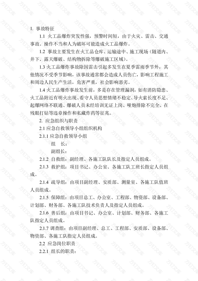 火工品爆炸现场处置方案封面图 - 公共专业文档