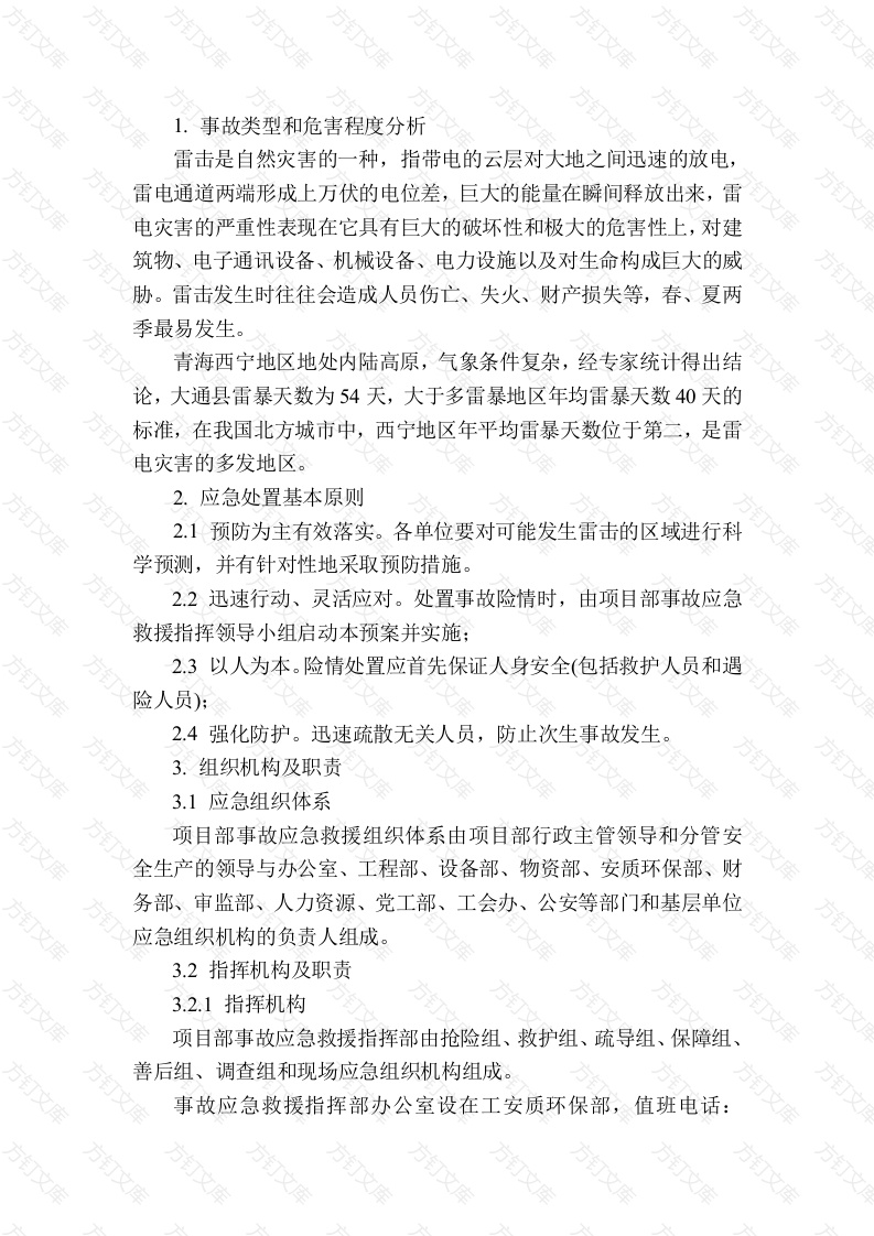 雷击专项应急预案封面图 - 公共专业文档