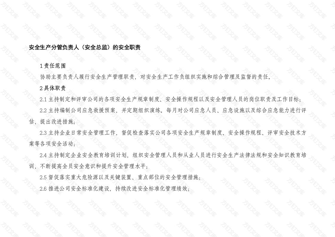 安全生产分管负责人（安全总监）的安全职责封面图 - 工程文档文档