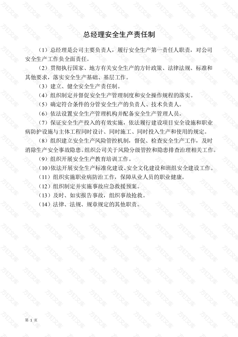 某公司双重预防体系建设之安全生产责任制度封面图 - 公共专业文档