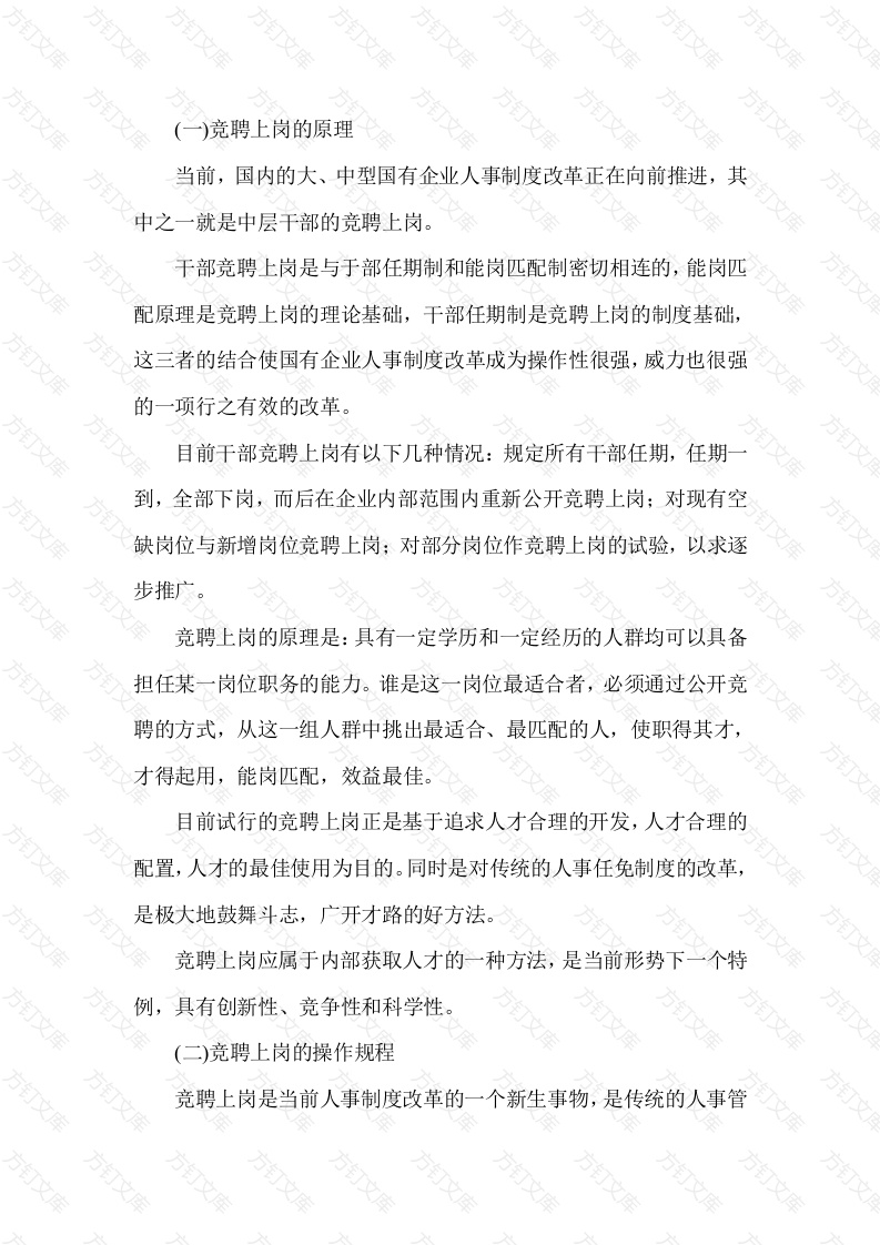 竞聘上岗的原理与规程封面图 - 工程文档文档