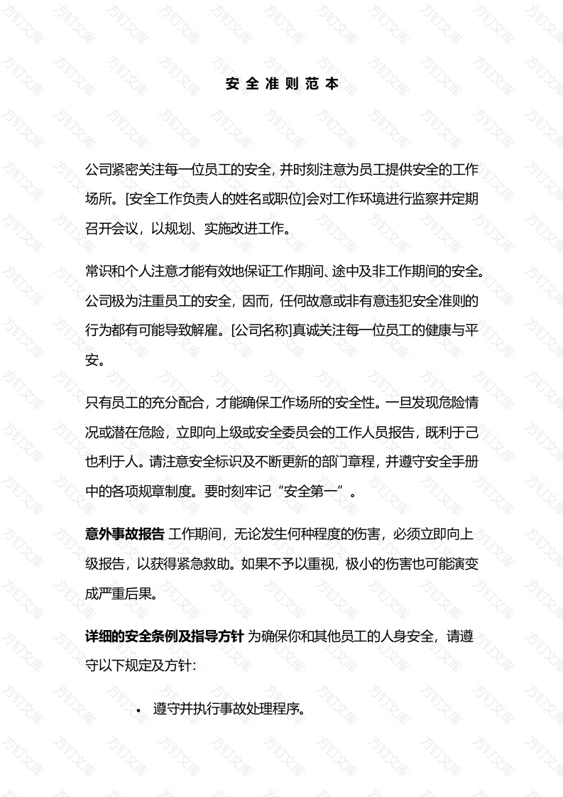 某公司安全准则范本封面图 - 公共专业文档