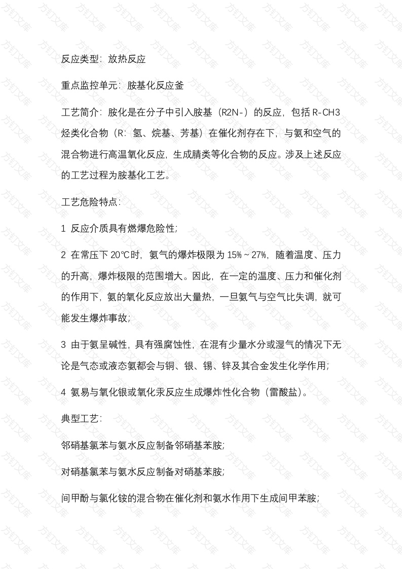 胺基化危险化工工艺安全风险管控关键要求封面图 - 公共专业文档