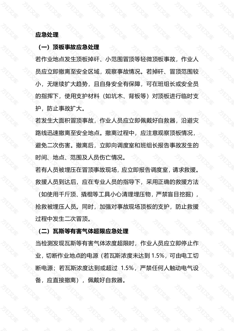 矿山人力装载工安全作业应急处理规范封面图 - 公共专业文档